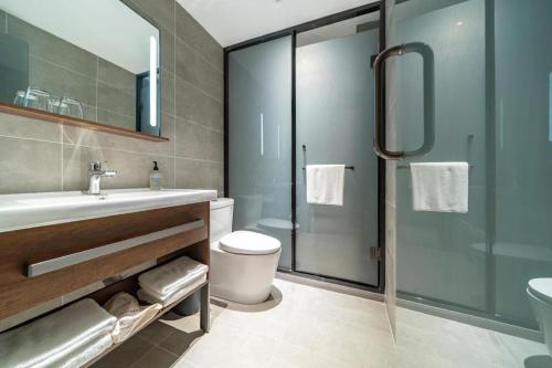 Ssu-t'uan-ts'angHanting Hotel Shanghai Safari Park Nanzhu Road的一间带水槽、卫生间和淋浴的浴室