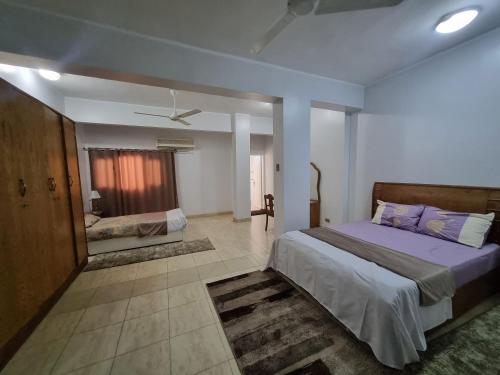 卢克索Abo Hisham Nile Flat的一间卧室,卧室内配有一张大床