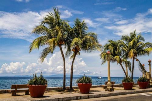 杜马格特Asia Novo Boutique Hotel-Dumaguete的一排棕榈树在海洋里