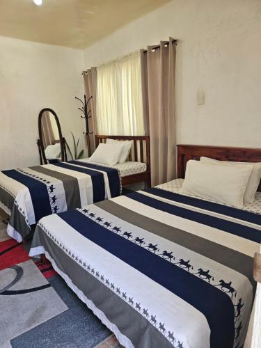 DaanbantayanD & N LODGE的酒店客房设有三张床和窗户。