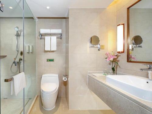 兴仁Vienna Hotel Guizhou Xingren的一间带卫生间、水槽和镜子的浴室
