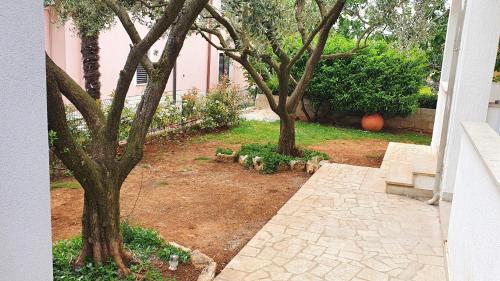 波雷奇Apartments Cintya的一座花园,两棵树和石头走道