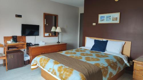 瓦尔达维德雷迪森瓦尔大卫汽车旅馆 的配有一张床和一台平面电视的酒店客房