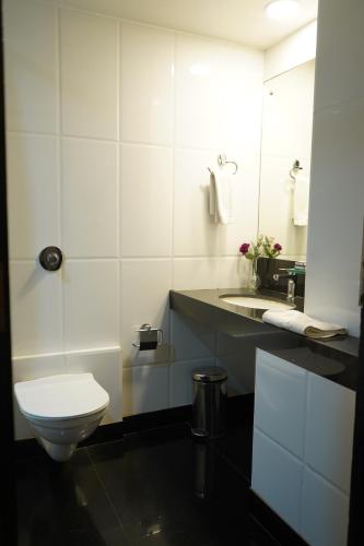 孟买Hotel Diplomat, Colaba的一间带卫生间、水槽和镜子的浴室