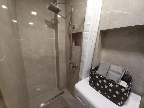 斯拉沃尼亚布罗德Apartment Centar的浴室配有淋浴和带毛巾的卫生间。