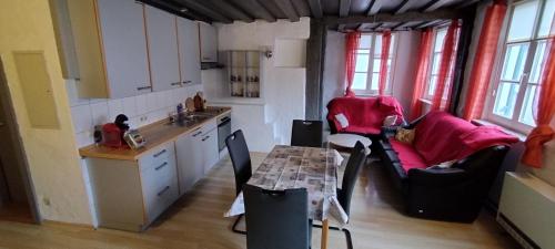 里斯河畔比伯拉赫Wohnung Engelgasse的带桌子和两把椅子的厨房以及带水槽的厨房