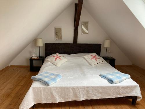 WilhelmshofFeriendomizil Wohltat的一间卧室配有一张带两个枕头的床