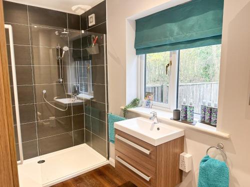 比灵斯赫斯特Dragonfly Lodge Ifold & Alpaca My Tipi Glamping的带淋浴、盥洗盆和镜子的浴室