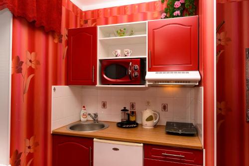 派尔努Katariina House的一间配备了红色橱柜和微波炉的小厨房