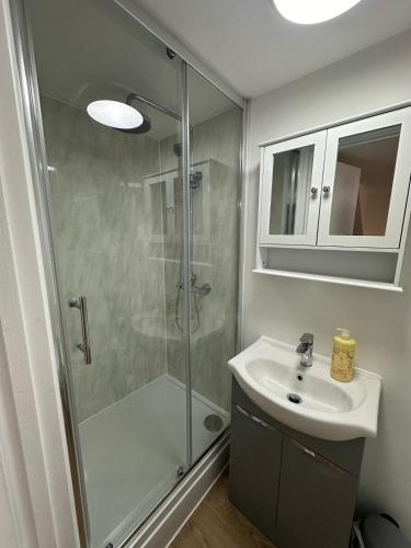 布莱克伍德The Highmead的带淋浴和盥洗盆的浴室