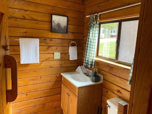 索尔兹伯里Homely Poolside Cabin的小木屋内带水槽的浴室