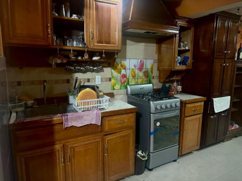 墨西哥城Lucia的厨房配有木制橱柜和炉灶烤箱。
