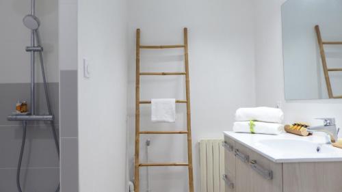 欧赖Ti An Alré, appartement 4 p en centre ville的浴室设有水槽旁的梯子