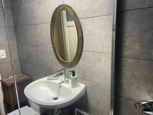 拉翁莱塔普Le Jolis Bois的一间带水槽和镜子的浴室