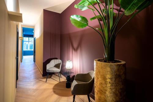 布雷达Breda City Apartments的走廊上摆放着椅子和盆栽植物