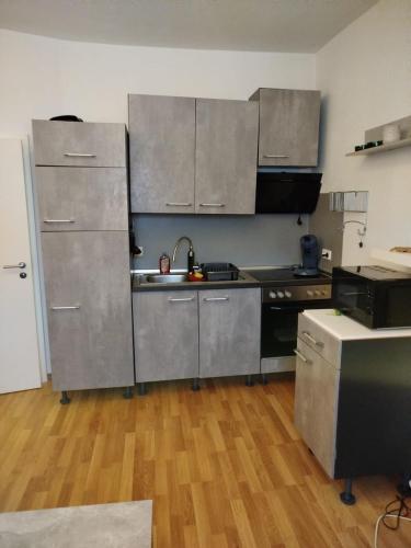 威斯巴登Apartment Tamara的厨房配有不锈钢用具,铺有木地板