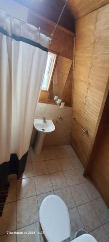 威廉斯港Fortunata del Beagle的一间带卫生间和水槽的浴室