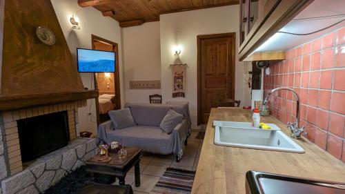 阿拉霍瓦Diminio 2 Apartment at Livadi Arachova的厨房设有带壁炉和水槽的客厅。