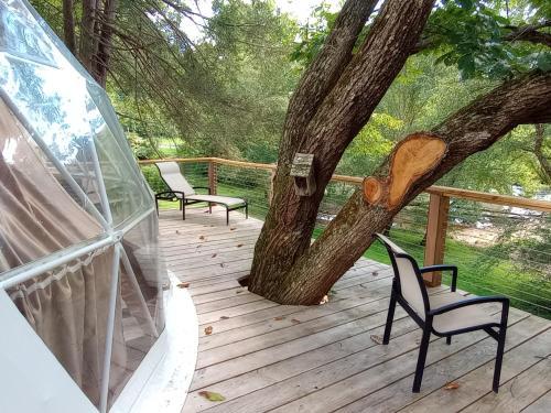 SuttonGlampOut Resort - Elk River的木甲板上设有两把椅子和一棵树