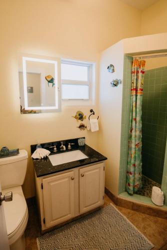Cruz BayIndigo的浴室配有卫生间、盥洗盆和淋浴。