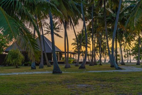 阿瓦托鲁Motu Fara Private Island的一群棕榈树在一座建筑前