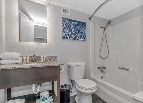 默特尔比奇Indigo的一间带卫生间、水槽和镜子的浴室