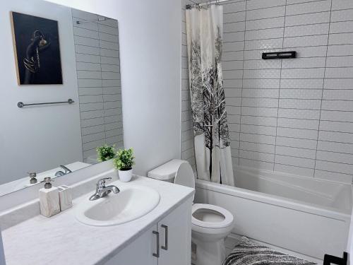 渥太华Voltage的白色的浴室设有水槽和卫生间。