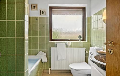 霍尔斯特布罗4 Bedroom Gorgeous Home In Holstebro的一间带盥洗盆和窗户的浴室