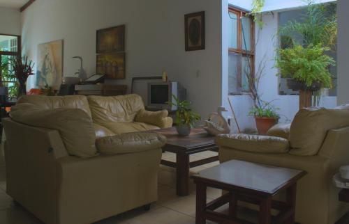 San MarcosHotel Boutique Sol de Oro的客厅配有两张沙发和一张咖啡桌