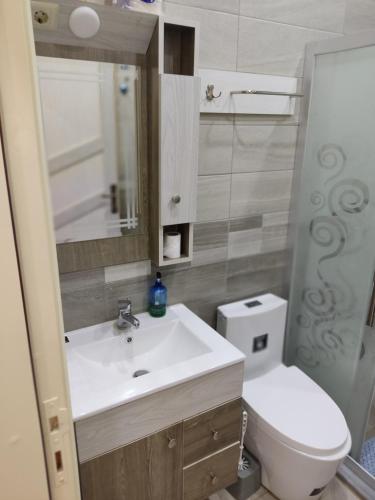 杰拉什Lotus housing for furnished apartments的一间带水槽、卫生间和镜子的浴室