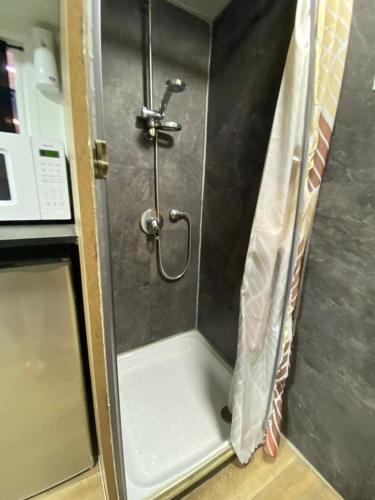 赖阿南纳קראוון ברעננה的带淋浴的厨房内的淋浴间