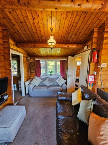 特兹西尼德Cosy 2 bedroom Log Cabin in Snowdonia Cabin151的带沙发和电视的客厅
