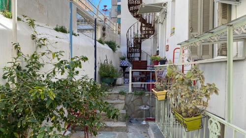 雅典Νεοκλασικό Αστικό Σπίτι χτισμένο το 1917.的楼边有盆栽的小巷