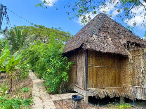 芹苴Homestay Mekong Can Tho的茅草屋顶的小小屋