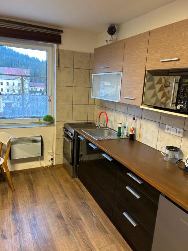 科热诺夫APARTMENT OWL的厨房配有水槽和炉灶