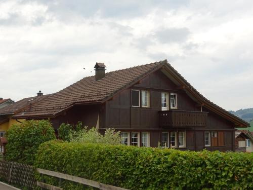 阿彭策尔弗里恩沃奈格茵尔恩酒店的棕色房子,屋顶棕色