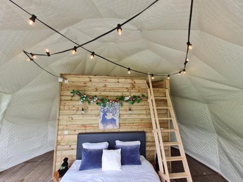 HamParkhoeve Glamping的帐篷内的卧室,配有床和梯子
