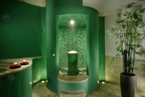 特雷维尼亚诺罗马诺Hotel Recostano Residence的绿色浴室设有绿色墙壁和淋浴
