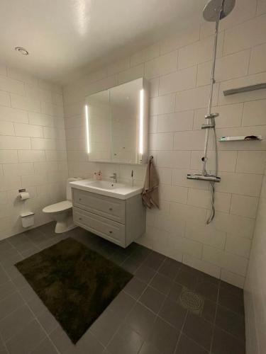TorshällaOrrvägen的白色的浴室设有水槽和镜子