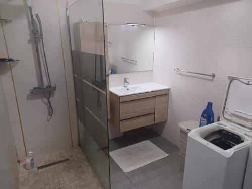圣克罗蒂德Appartement spacieux的带淋浴、盥洗盆和卫生间的浴室