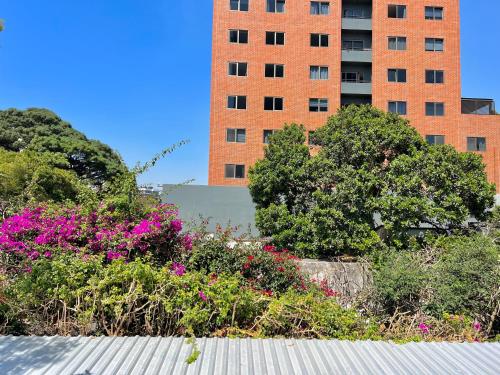 危地马拉Hotel Citadin Z10的一座建筑前有一堆花的建筑