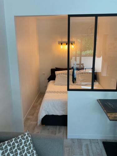 尼斯Studio coin nuit terrasse parking Clim的一间卧室配有一张床和镜子