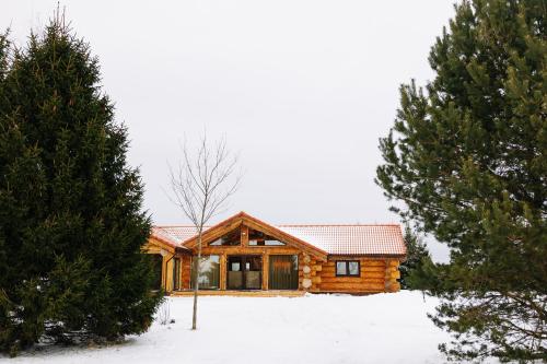 AllikuAlliku holiday home的雪地中的小木屋,有两棵树