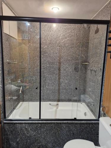 圣保罗Hotel Blue Boutique Paulista的一间带卫生间的浴室内的玻璃淋浴间
