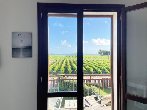 伯吉维奇Aquilone Garden的客房设有窗户,享有葡萄园的景致。