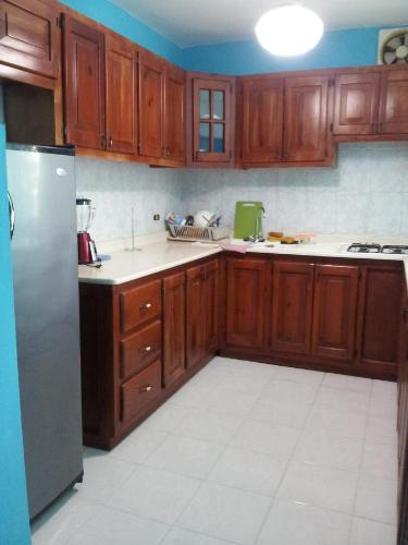 博卡奇卡Apartment Caribbean Relax的厨房配有木制橱柜和不锈钢冰箱。