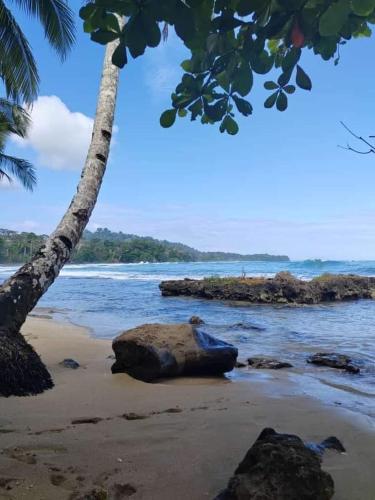 别霍港BARI Campings resort的一片拥有岩石和棕榈树的海滩