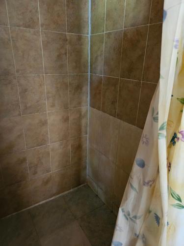 MesetasHostal La Cabaña的浴室内配有淋浴帘。