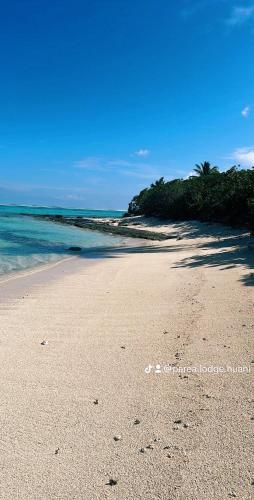 PareaParea Lodge Huahine Bungalow 1#MAHANA的棕榈树和海洋的沙滩