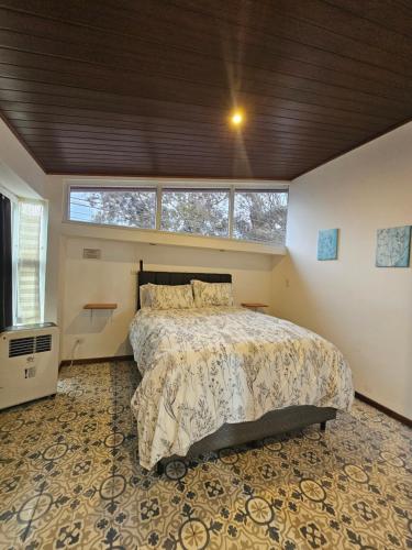 图里亚尔瓦Lilu Loft Turrialba的一间卧室,卧室内配有一张大床